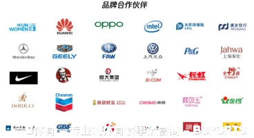 B体育